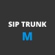 SIP trunk M